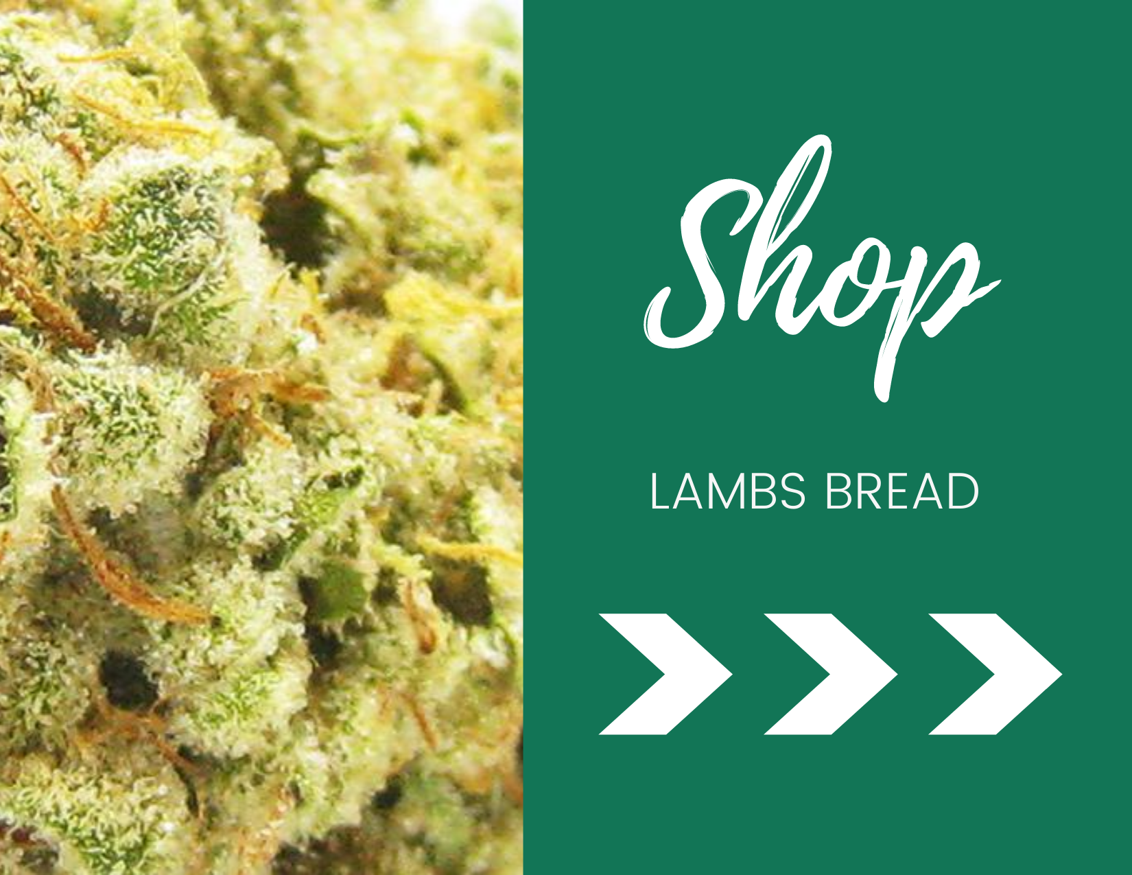 same day weed delivery, marijuana dispensary, mail order marijuana, weed delivery, cannabis delivery, Ontario dispensaries, weed delivery near me, weed delivery Ontario, cannabis delivery, kush delivery, weed stores in Ontario, Best weed store, Weed brands in Canada, Cannabis companies, best weed in Ontario, Toronto dispensaries, weed delivery Ottawa same day weed delivery, marijuana dispensary, mail order marijuana, weed delivery, cannabis delivery, Ontario dispensaries, weed delivery near me, weed delivery Ontario, cannabis delivery, kush delivery, weed stores in Ontario, Best weed store, Weed brands in Canada, Cannabis companies, best weed in Ontario, Toronto dispensaries, weed delivery Ottawa